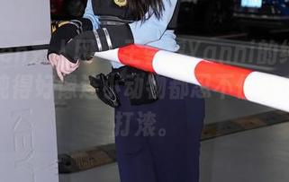 Xiuren秀人网 – 王馨瑶Yanni的纯白套图，纯得好像连小动物都忍不住想在上面打滚。